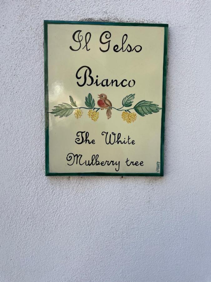 Il Gelso Bianco -The White Mulberry Tree Villa Ravello Exterior photo
